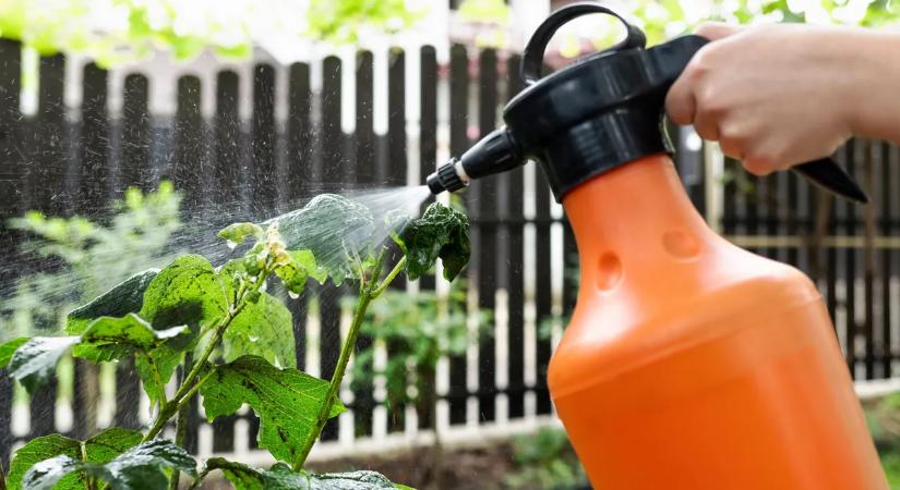 Máris támadnak a levéltetvek, ettől a trükktől meghátrálnak