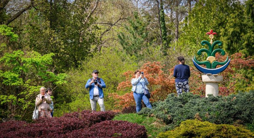 Harmónia és történelem - Japánkertet avatott a Soproni Egyetem a Kámoni Arborétumban