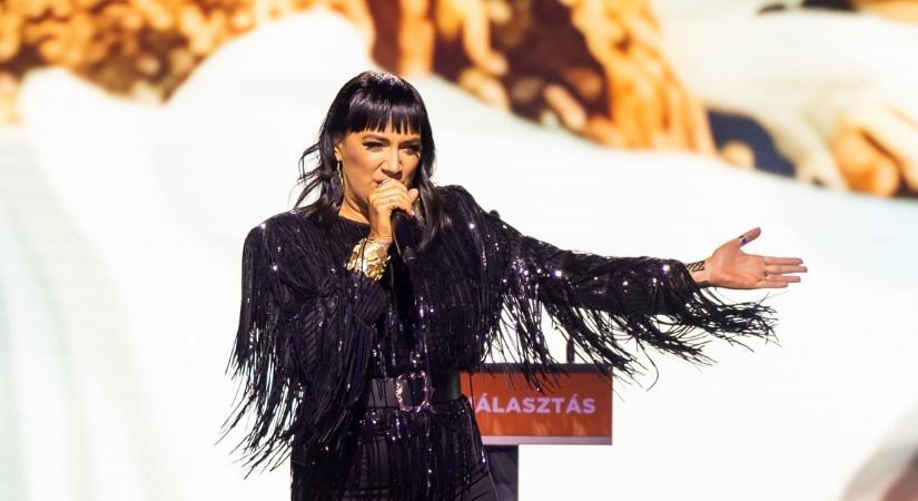 Tóth Gabi megszólalt a Fidesz-frakciós munkájáról