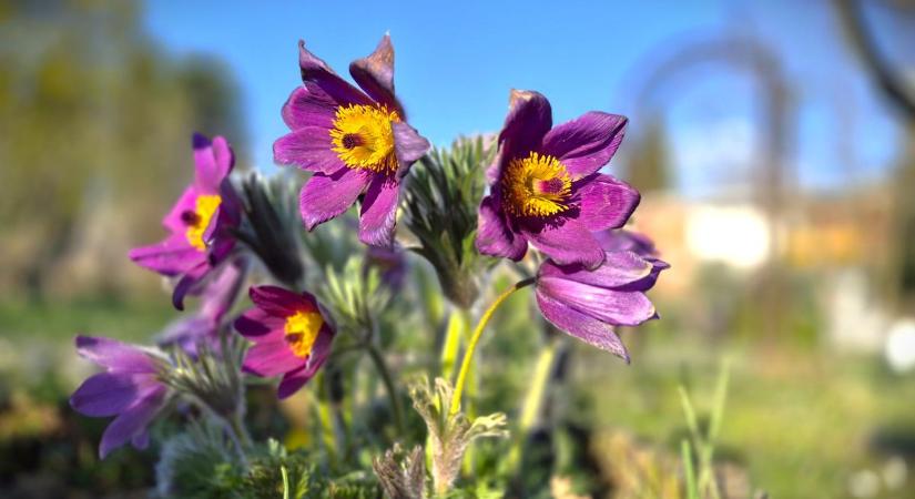 Esősen indultunk ma, mi várható holnap?
