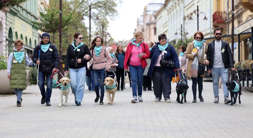A kutyahám nem póráz, hanem híd: Szeder, az éjfekete labrador volt a rocksztár az esélyegyenlőség napján