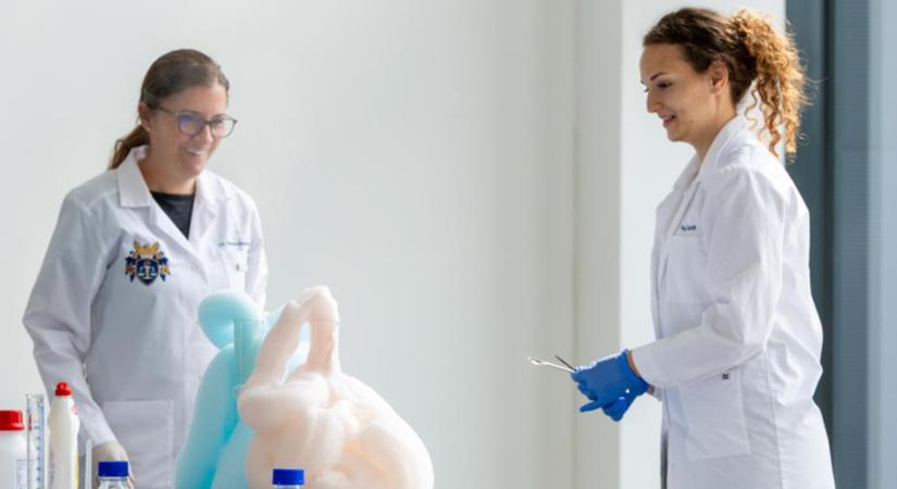 Elefántoknak is készítettek fogkrémet a Debreceni Egyetemen