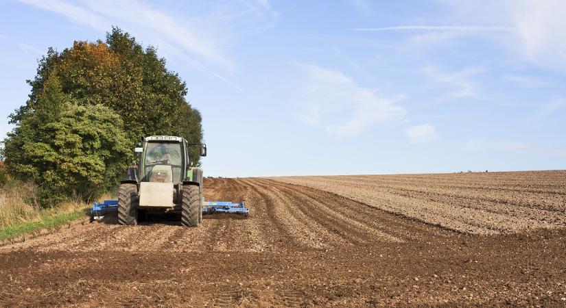 Időjárás: Veszélyes kettősség jön, 20 fokos tavaszra éjszakai fagy