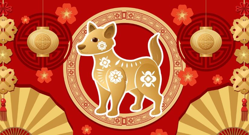 Kínai horoszkóp-előrejelzés májusra a Kutyáknak: örömteli gyerekáldás, munkahelyi siker és bőséges pénzbevétel színesíti ezt az időszakot