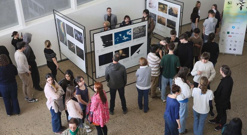 Fantasztikus természetfotó tárlat nyílt Nyíregyházán (fotókkal, videóval)