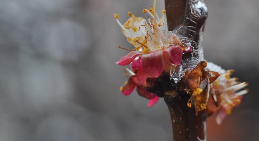 Visszatért a tél: dermesztő hidegbetörés tarolt le itt mindnet