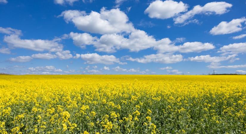 Erős szél zavarja meg a tavaszt: napsütés jön, de nem lesz nyugodt a csütörtök