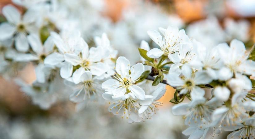 Nyugaton naposabb, keleten felhősebb idő várható