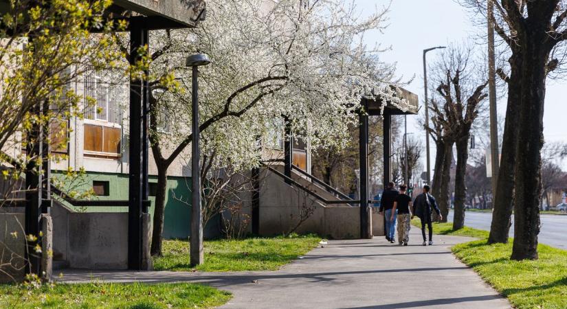 Szomorkodnak a vevők, nagyon úgy néz ki, végleg bezárt a kisbolt Debrecen forgalmas helyén