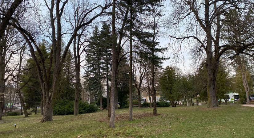 Nem lesz unalmas az idő: ilyen nap jön holnap Borsod-Abaúj-Zemplénben