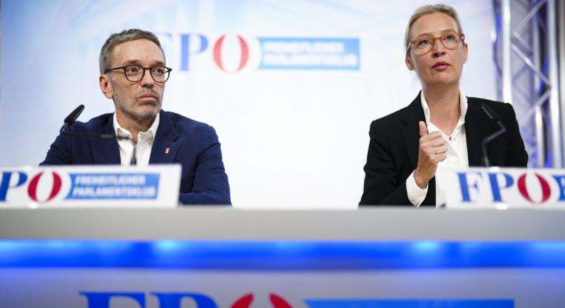 Kézenfekvő szövetség: veterán patrióta párt segítené a kormányzati tapasztalataival az AfD-t