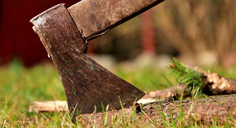 Jogerős: életfogytiglant kapott a férfi, aki baltával gyilkolta meg várandós élettársát