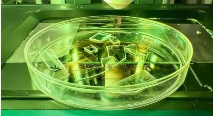 Ízekre szedik a vírusokat ezzel az új eszközzel