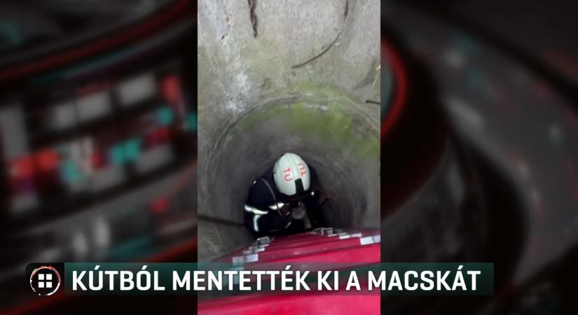 Mentőakció: Tűzoltók szabadították ki a kútba esett macskát Girincsen
