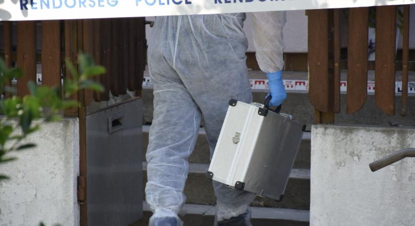 Elítélték, tízmilliókat fizethet az államnak Magdi néni korábban felmentett gyilkosa – Megszólal az áldozat családja