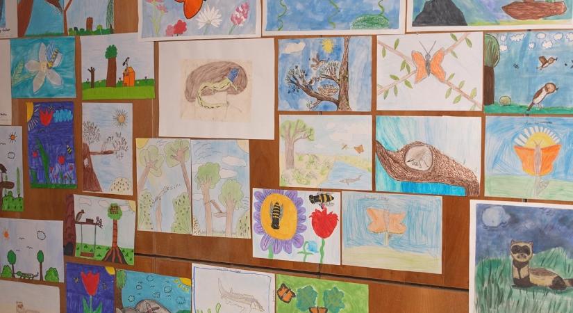 Rajzpályázat a Föld Napja alkalmából