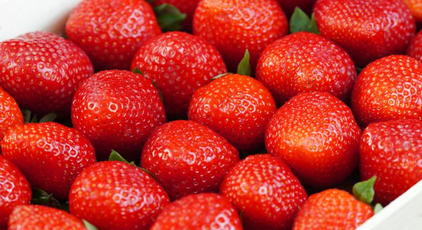 Hiába a hazai gyümölcs, ha drága: ezt az árat már sokan nem fizetik ki