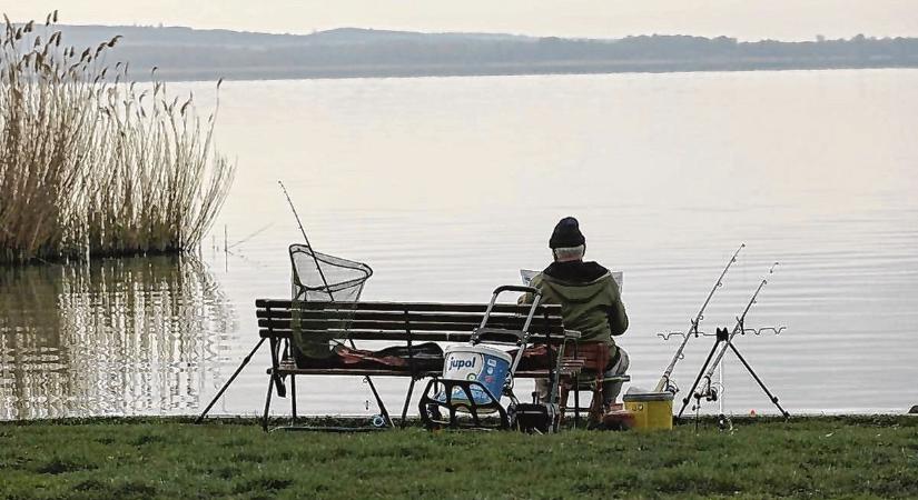 Feloldották a pontytilalmat, több Tisza menti területen újra lehet horgászni