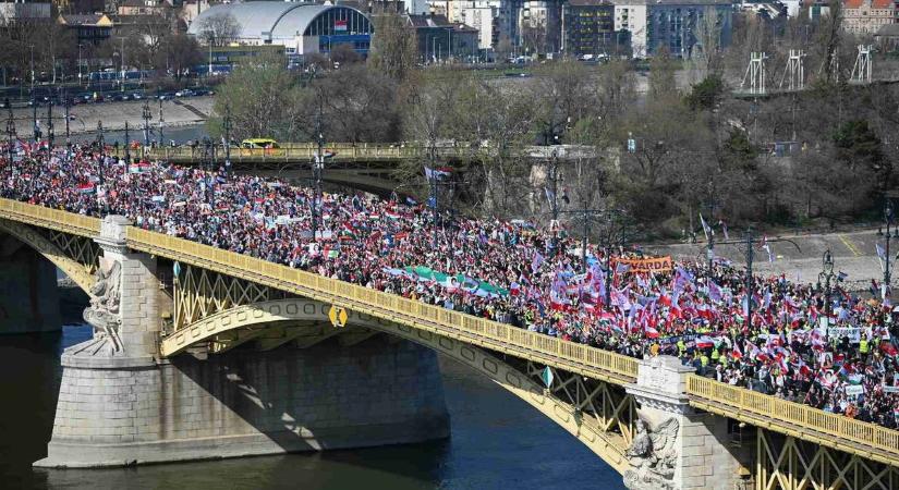 Én, az „agymosott birka”