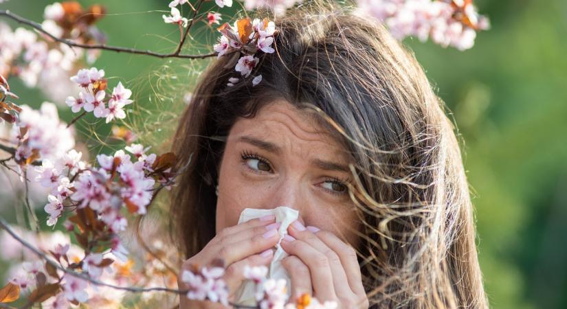 Másfélmillió magyar földi pokláról derült ki az igazság: már két héttel hosszabb az allergiaszezon, mint korábban - ez az oka