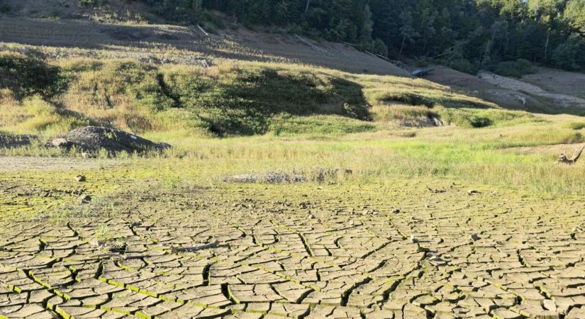 Nem a víz tűnik el, hanem a hűtés: ezért válnak egyre szélsőségesebbé az aszályok és árvizek