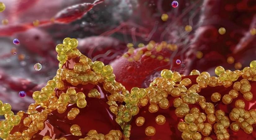 Sokk a laborban: senki nem hitte, mi pusztítja el a halálos baktériumot