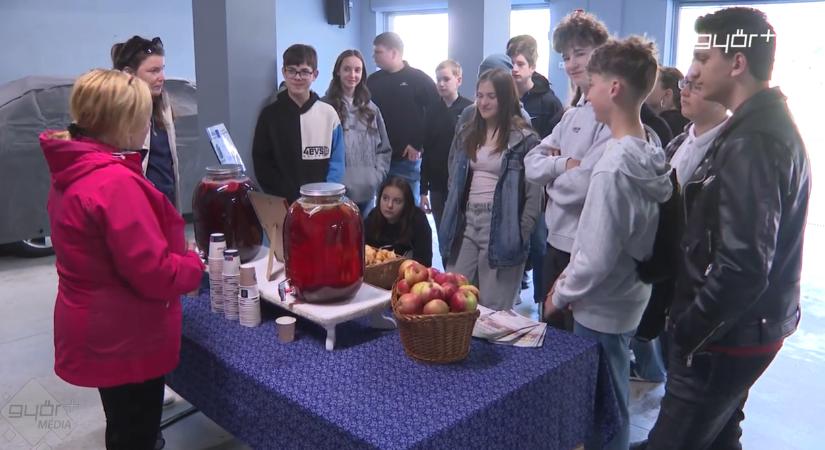 Fenntarthatósági nap az Arrabona EGTC-vel