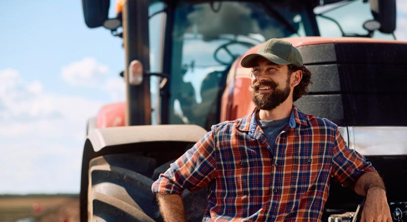 Költséghatékonyabb, mint a gabona, ellenáll minden időjárási körülménynek, és problémamentesen értékesíthető