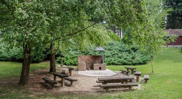 Csend, fenyők és egy rejtett tó – a Miklósfai Arborétum titkai