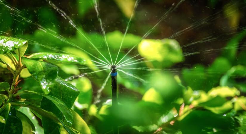 Ezért nem működik, amit eddig csináltál a kertben