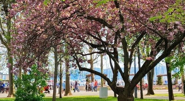 Több helyen talajmenti fagy is lehet - Időjárás-előrejelzés csütörtökre