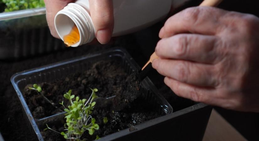Így lehet sokkal több termés ugyanazzal a munkával