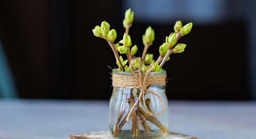 Mit kezdjünk a halmozódó befőttesüvegekkel? Praktikus ötletek a mindennapokra