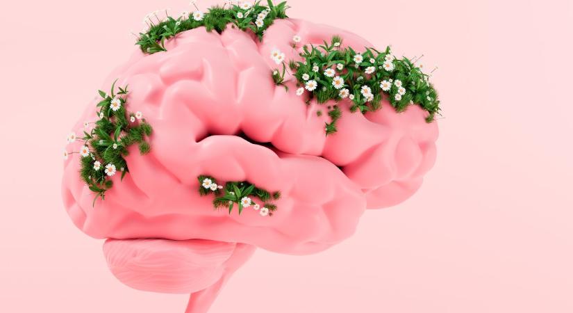 EQ-lista: Ennek 10 országnak a legmagasabb az érzelmi intelligenciája