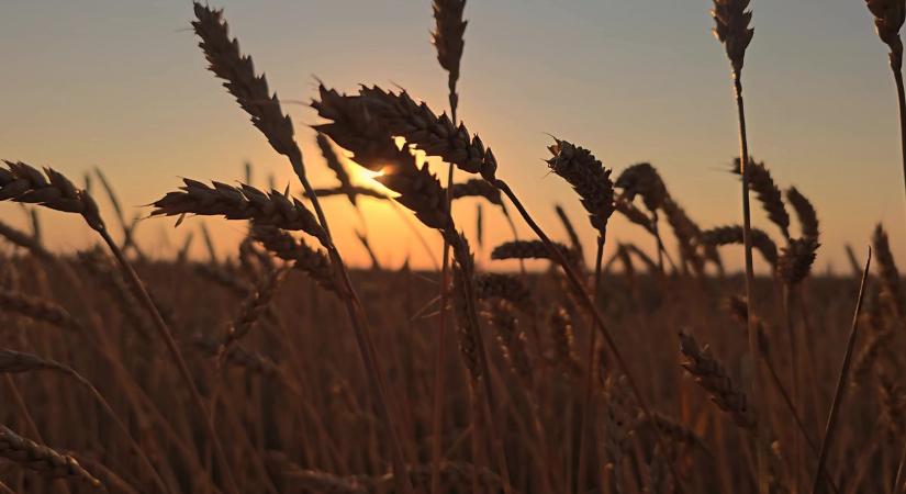 Csütörtöki időjárás: szűrt napsütés és élénk szél határozza meg a napot