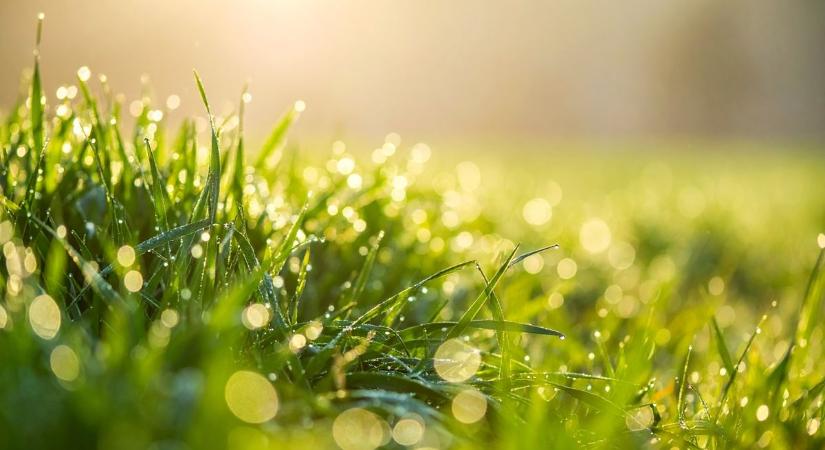 Változékony, de kellemes tavaszi idő? Erre számíthatunk ma Szegeden