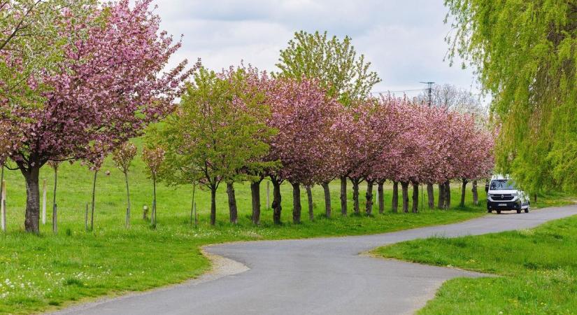 Csütörtökön visszatér a kellemes, tavaszias időjárás