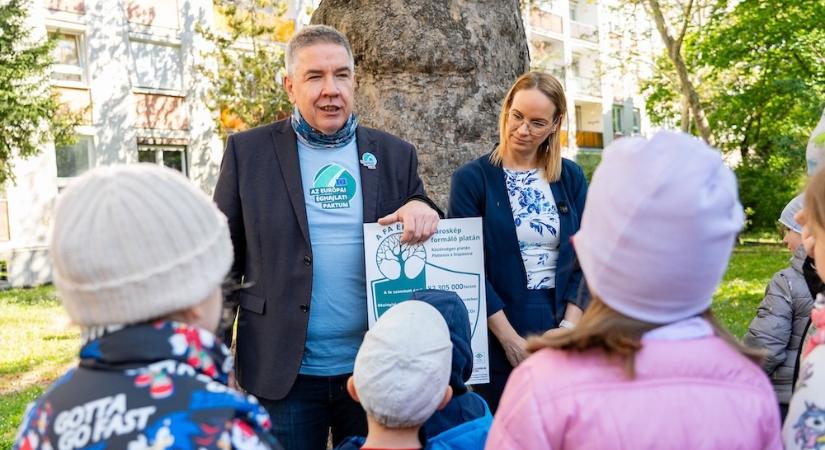 Két győri fa kapott faértéktáblát a Föld napján