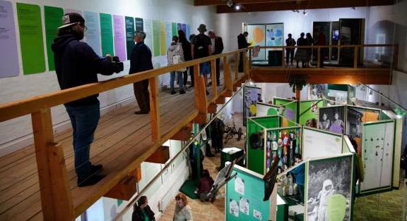 Együtt a fenntarthatóságért! – Így folytatódik a Zöld Skanzen program Szentendrén