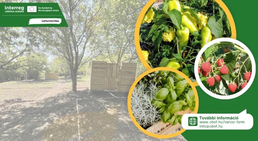 Május elején helyszínbejárást tartunk a Városi Farmon