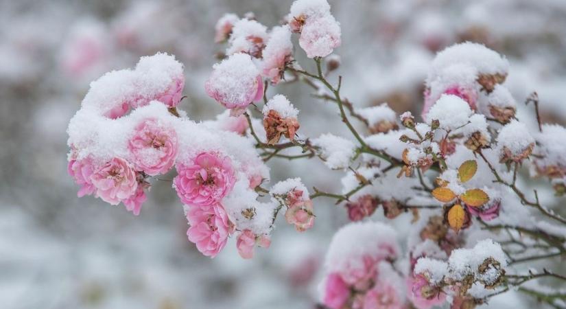 Április 23.: rekord hideg csapott le Szombathelyre – mínuszokat mértek!