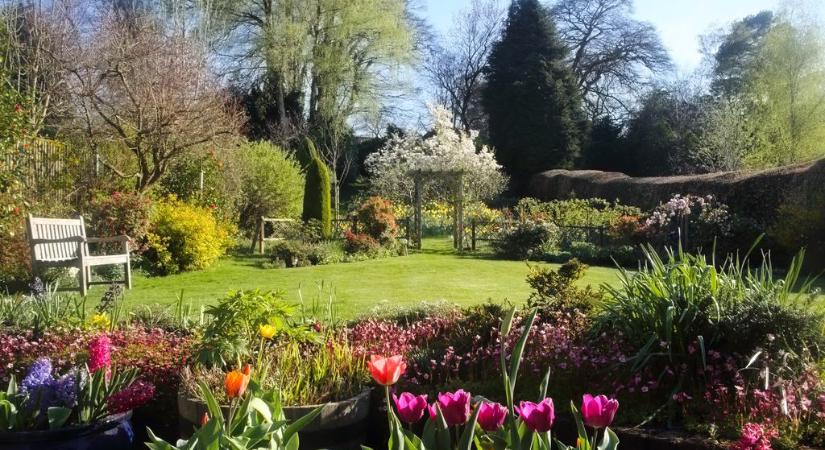 Eltűnik a kertekből a hagyományos pázsit – erre váltanak egyre többen