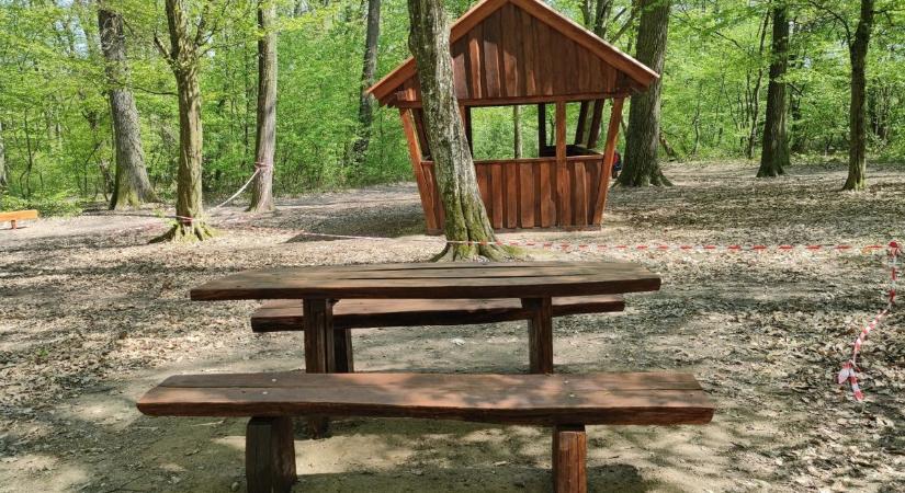 Jó hír a Parkerdőbe kirándulóknak