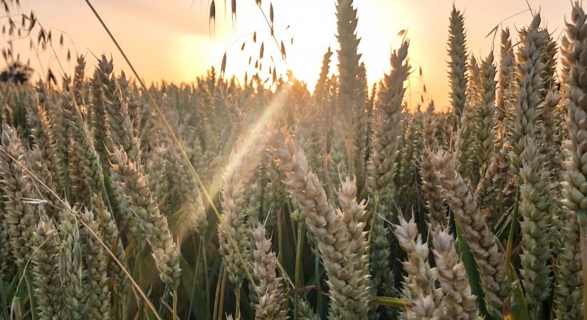 Szombaton akár 25 fok is lehet, aztán vasárnap jön az újabb hidegfront