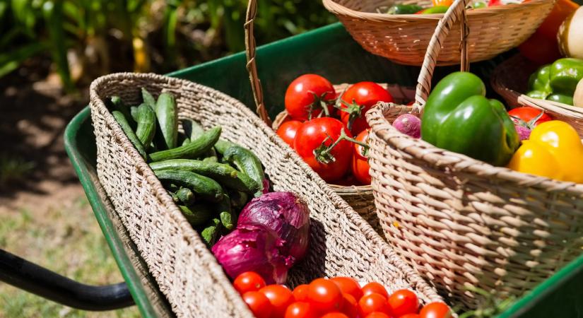 Kvíz: Vitaminban gazdagabb zöldség, de hogyan?
