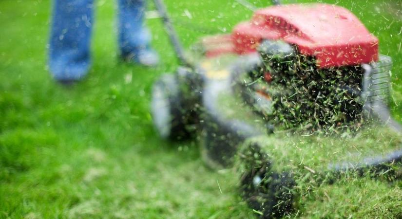 Hagyjuk már nőni a füvet!