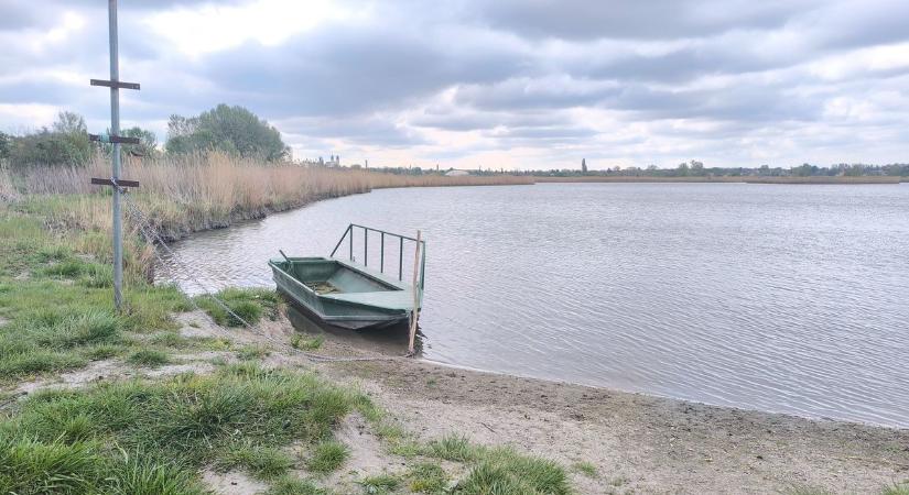 Vadregényes tatai tanösvényre bukkantunk, videón a rejtett út