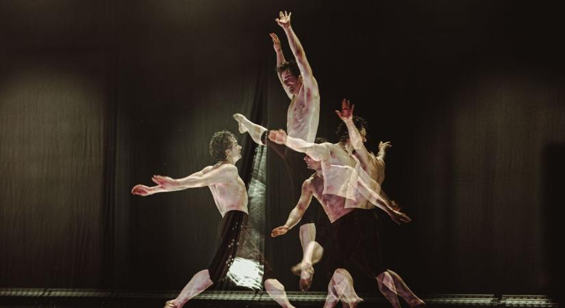 José González, Péterfy Bori, Csányi Sándor és Palya Bea – a Művészetek Völgye idén is csúcsra jár