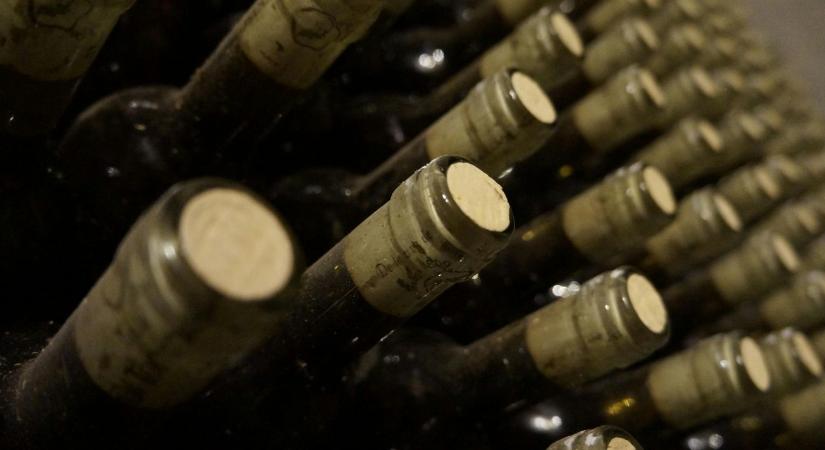 Figyelem! Fontos tudnivalók a bortermelői adategyeztetésről