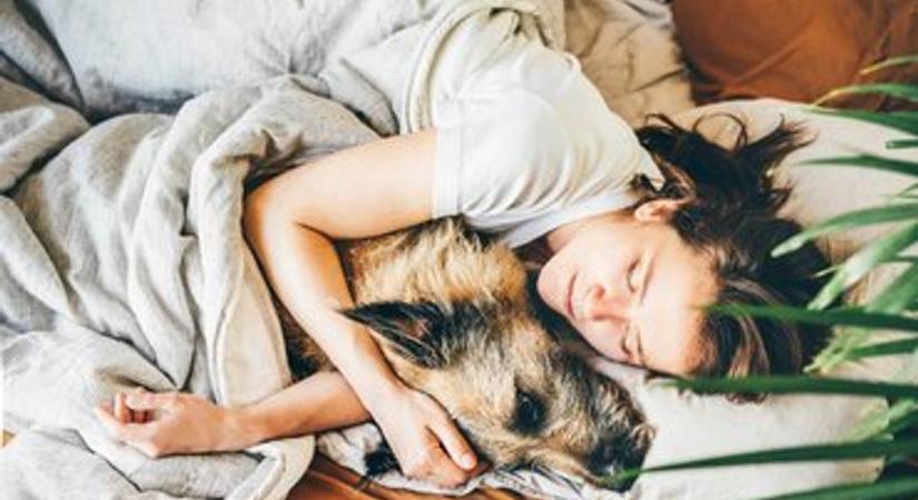 Te kit engedsz be az ágyadba? Hiába a kedvenced, gyorsan eldurvul a helyzet egy gyenge pillanatod után
